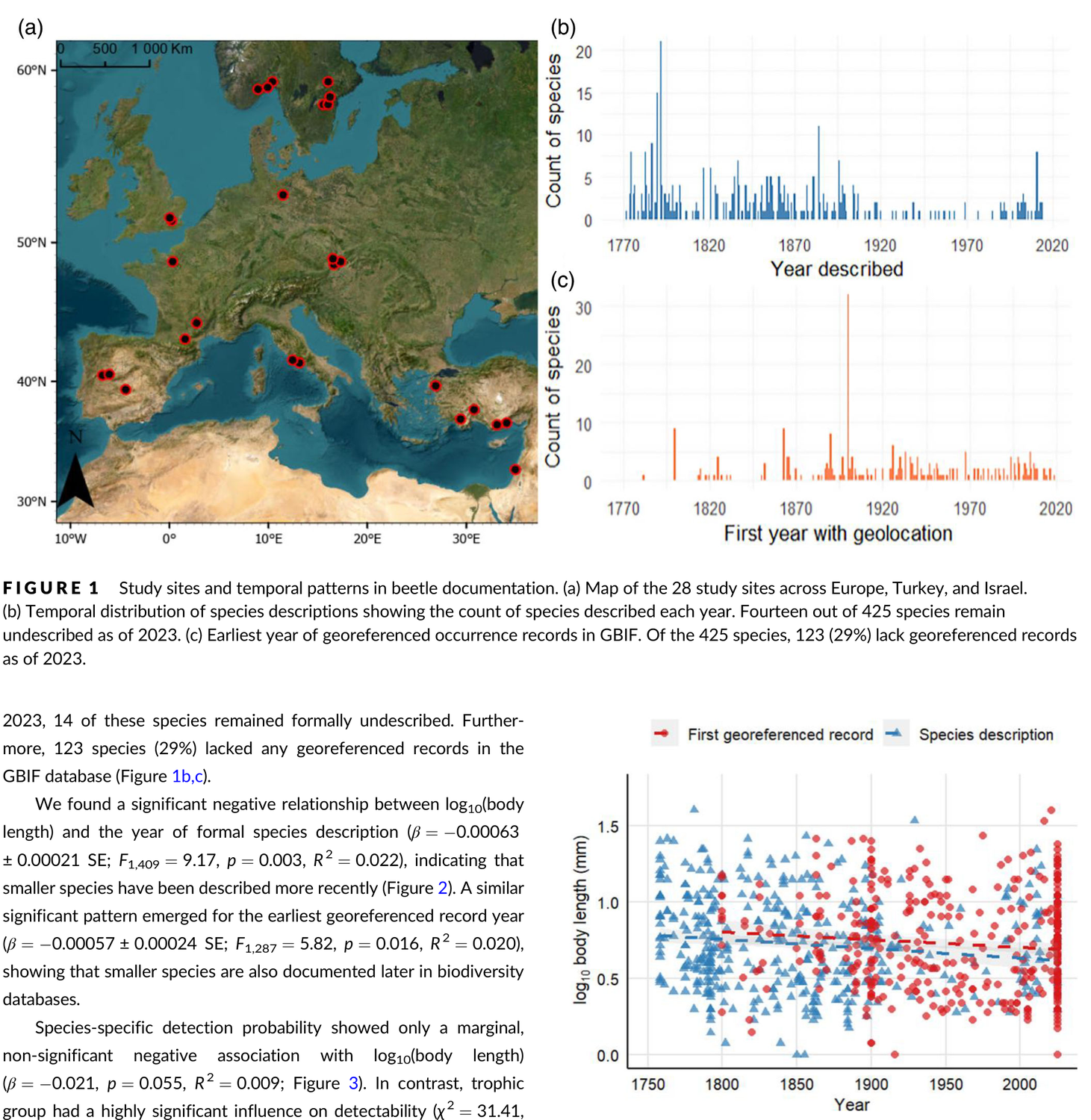 The paper's Figure 2: two overlaid scatter plots of log10 body length against year, blue triangles for year of description with a solid fit line and red circles for year of first georeferenced record with a dashed fit line, both sloping gently downwards with shaded 95% confidence bands.