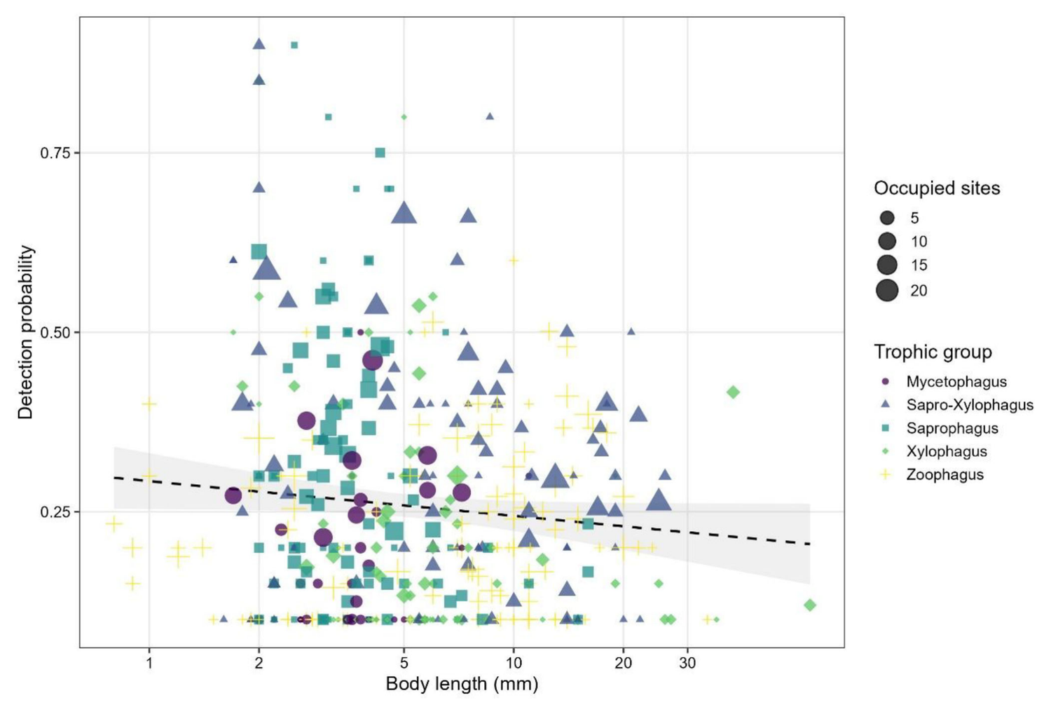 Scatter plot of body length against per-species detection probability, with points shaped and coloured by trophic guild and sized by number of occupied sites, and a shallow downward-sloping fitted line with a confidence band.