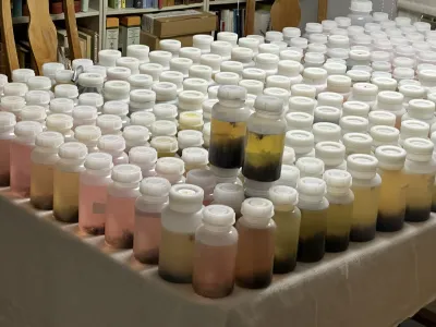 Hundreds of plastic containers with white caps filled with liquids ranging from clear to pink to dark brown arranged on a wh…