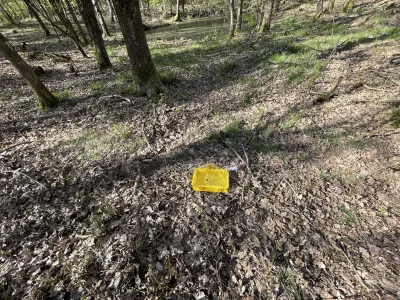 Bright yellow rectangular object on forest floor near trees and a stream