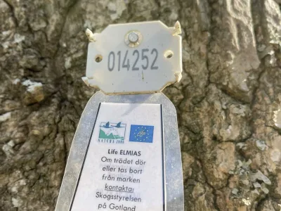 A white numbered tag reading 014252 and a larger label mounted on tree bark