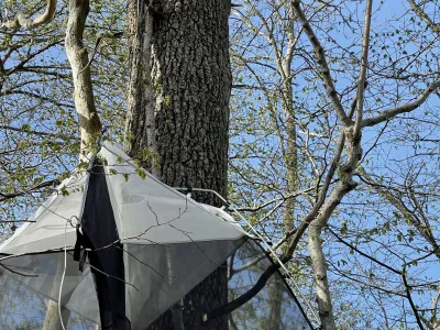 A black and white umbrella is attached to a large tree trunk against a blue sky with bare branches