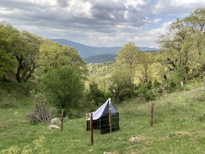 Small white and black tent in a grassy meadow surrounded by trees with mountains in the distance