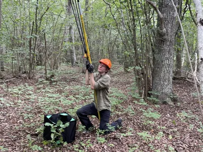 Person in orange hard hat using a long-handled tool in a dense forest with leaf-covered ground