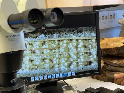 Olympus SZX10 microscope displaying magnified specimen with white circular structures on textured surface on monitor