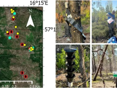 Figure from: Evaluation of sampling methods for characterisation of post-fire beetle assemblages